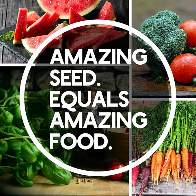 10 Assorted Organic Vegetable Seeds for Planting - ~3200 + Heirloom Non-GMO Fruit Seeds Herb Seeds &amp Vegetable Seeds - with Grow Guide - Broccoli Basil Watermelon Cilantro Carrot Kale &am