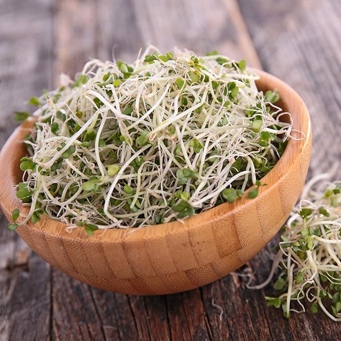 Handy Pantry Organic Sprouting Seed Assortments - Microgreens Sprout Seeds Variety Pack (12 Pack - Beginners Dozen)