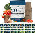 20 Vegetable Seeds Variety Pack - Complete Grow Kit Heirloom Vegetables Indoor Outdoors Vegetable Seeds Tomatos Broccoli Carrots Lettuce &amp More - DIY Starter Kit (Complete Starter Kit (w/Seeds