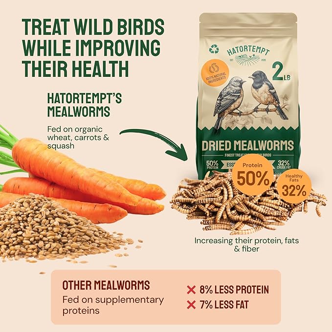 Hatortempt 2lb Dried Mealworms for Chickens - 50% Protein and 32% Essential Fats to Support Healthy Feather Growth During Molt - Organic Treats for Chickens Ducks Wild Birds &amp Reptiles