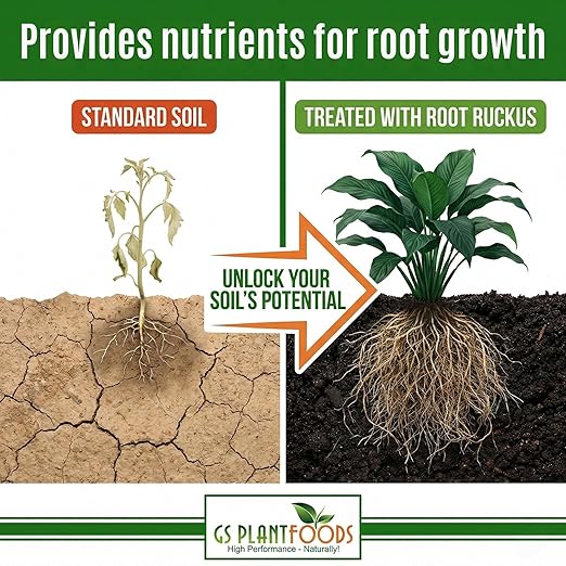 GS Plant Foods Root Ruckus Compost Fertilizer Organic Plant Food - Turbo Charged Compost for Plants - Humic Acid &amp Sea Kelp Nutritional Root Supplement for Lawns Soil Shrubs &amp Vegetables - 1