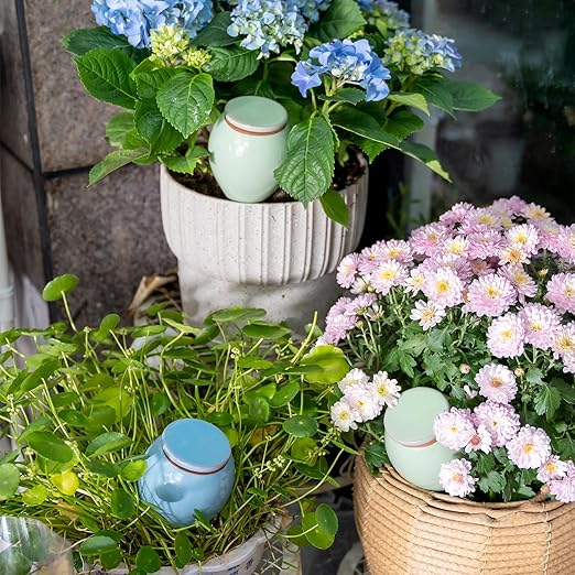 4-Pack Self Watering Planter Insert - 2 Blue and 2 Green Ceramic Watering Globes for Indoor Plants Terracotta Bulbs and Small Plant Pots - 300ml Capacity 1 Weeks Autonomy