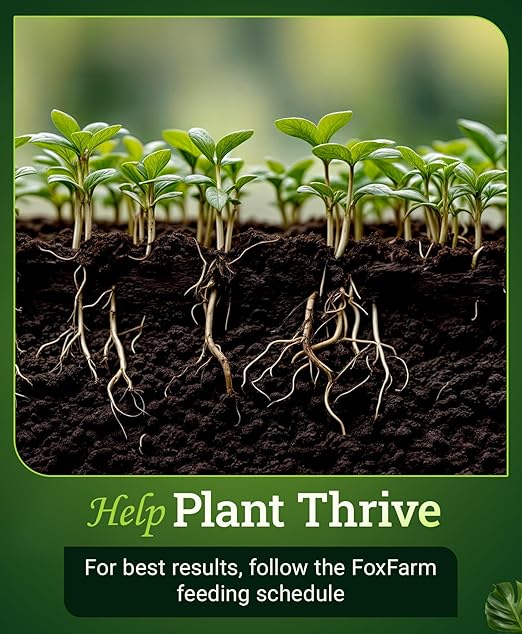 FoxFarm Bush Doctor Kangaroots Root Drench Inoculant – Enhances Root Efficiency Immediate Nutrient Uptake Custom Soil Microbes - Ideal for Hydroponic &amp Soil Applications - 1 Quart