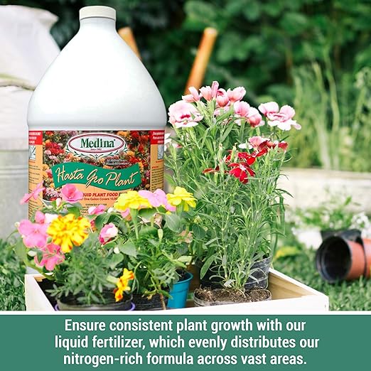 Medina HastaGro Plant Food 6-12-6 Liquid Fertilizer - Natural Plant Fertilizer for Healthy Growth - Food for Plant Nutrients &amp Vibrant Blooms - Promotes Root Development &amp Stronger Plants (1 G