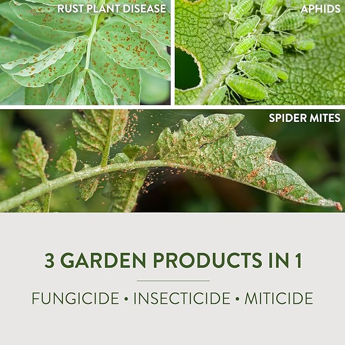 Garden Safe Brand Fungicide3 1 Gallon Fungicide Insecticide and Miticide with Neem Oil Extract for Organic Gardening Controls Black Spot Rust Aphids and Spider Mites