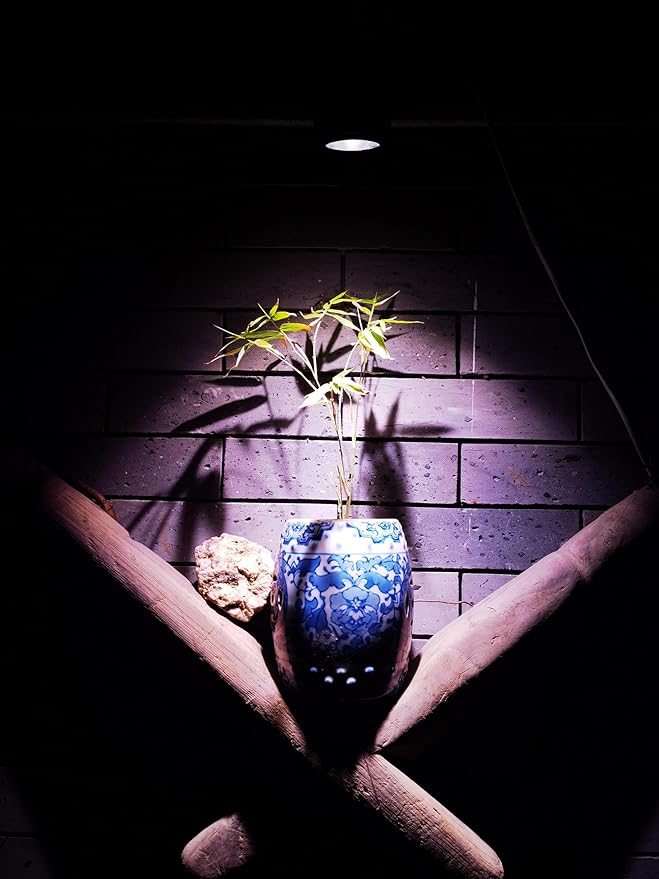 2 Pcs Ceiling Lights Conversion Pendant Light E26 Base Connections Adjusted Wire Length Full Spectrum 10W 4500K Natural Warm Light Plant Lighting for Indoor Growing