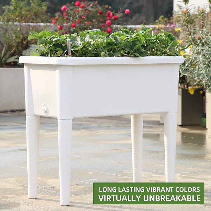Dexceder 13.2 Gallon Self Watering Raised Garden Bed with Ventilation Transparent Lid Greenhouse Deepen Vegetable Flower Box Planter Pot with Removeble Legs &amp Water Level Indicator (White)