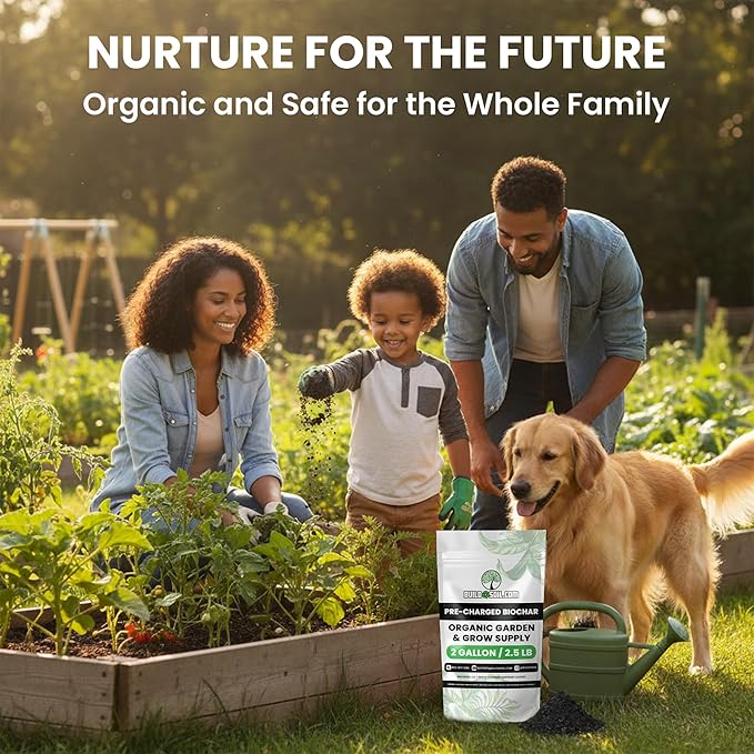 BuildASoil Pre-Charged Biochar Organic Soil Amendment for Plants No-Till Friendly 2–5% Mix Rate Clay Soil Conditioner with Organic Perlite &amp Horticultural Charcoal Blend 2 Gallon/2.5 lb