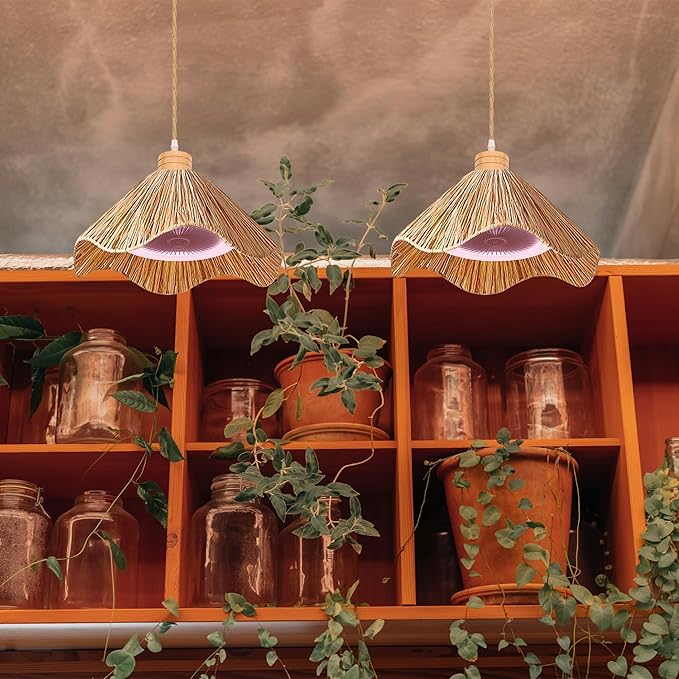 30W Full-Spectrum Lamp with 4 W Fan Timer Swag Hanging Boho Plant Growing Light by Remote Control Plug-in Hemp Rope Cord Dimmable Natural Cone Shade for Indoor Planting Portable