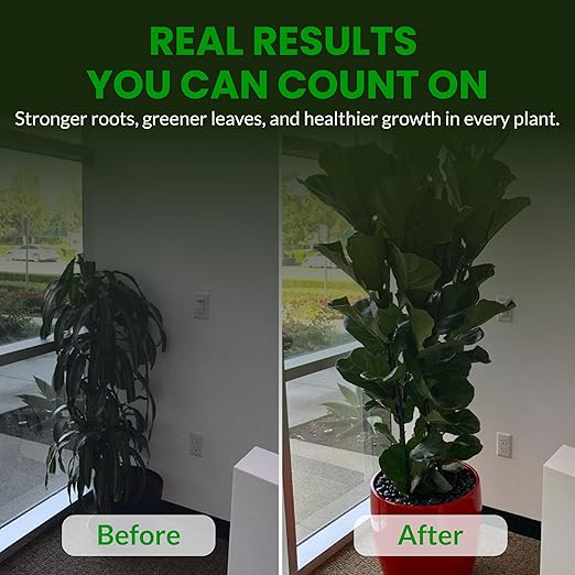 Humboldts Secret Everything Indoor Plant Food | 3-3-3 All Purpose Liquid Fertilizer with Norwegian Kelp | Supports Growth and Strong Roots | Nutrients for Houseplants &amp Indoor Plants | 32 Ounce