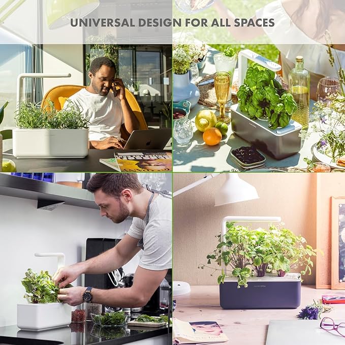 Click &amp Grow Indoor Herb Garden Kit with Grow Light | Smart Garden for Home Kitchen Windowsill | Easier Than Hydroponics Growing System | Vegetable Gardening Starter (3 Basil Pods Included) Grey