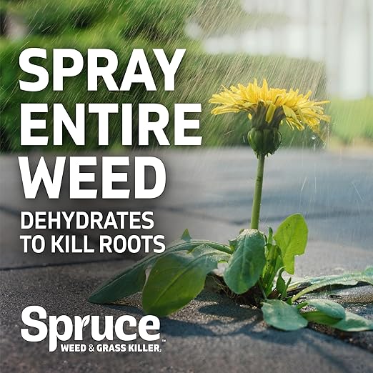 Spruce Weed Killer Refill - Versatile Weed &amp Grass Killer₂ for Flower Beds Driveways &amp Mulch Beds - No Pour No Mix No Mess Refill - Kills Dandelions Crabgrass &amp More (64 Oz)