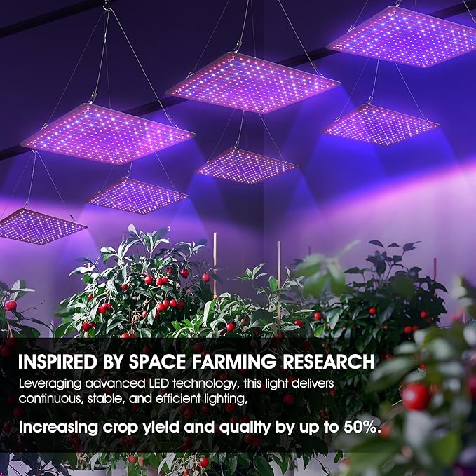 2 Pack LED Grow Light Panel 200W Lamp for Indoor Plants Full Spectrum with White Blue Red UV IR LEDs for 4x4ft Coverage Grow Tent Greenhouse Veg and Bloom Seedlings Hydroponics