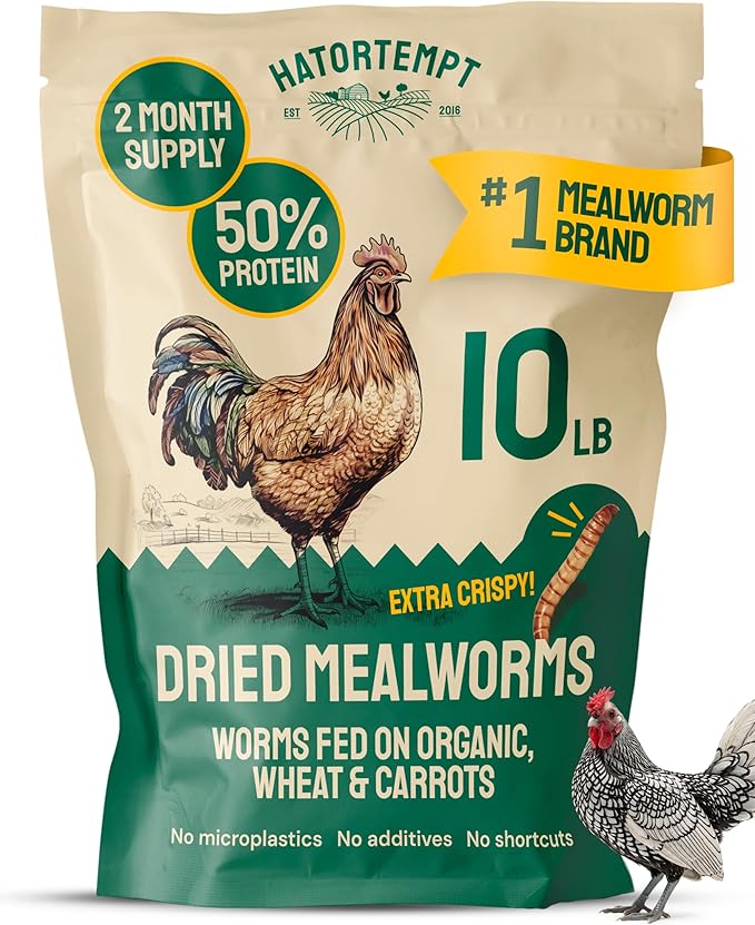 Hatortempt Bulk Dried Mealworms - 10 Lb Bag - Non-GMO Dried Mealworms for Chickens Ducks &amp Wild Birds - High-Protein Chicken Feed &amp Bird Food