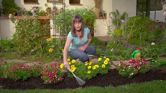 Miracle-Gro Shake 'n Feed Continuous Release All Purpose Plant Food 4.5-Pound
