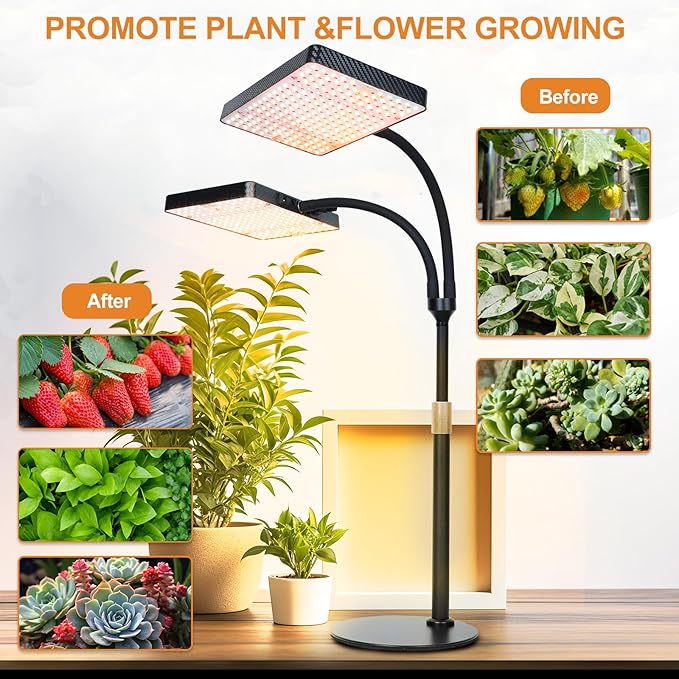 FECiDA 2026 2Head Tabletop Grow Lights for Seed Starting Indoor Plants Bonsai 50 Watt Power Draw NO Need Adapter Super Bright and Big Coverage 4/8/12/16/20 Hr Timer 16-24 Height Adjustable