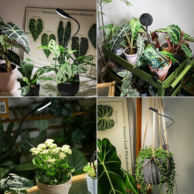 Plant Grow Lights Indoor Pot Clip On Grow Light for Indoor Growing Full Spectrum LED Plant Growing Lamp with Auto Timer 12W 4000K Plant Light for Growth with 4 Levels Dimmable Black 3 Pack