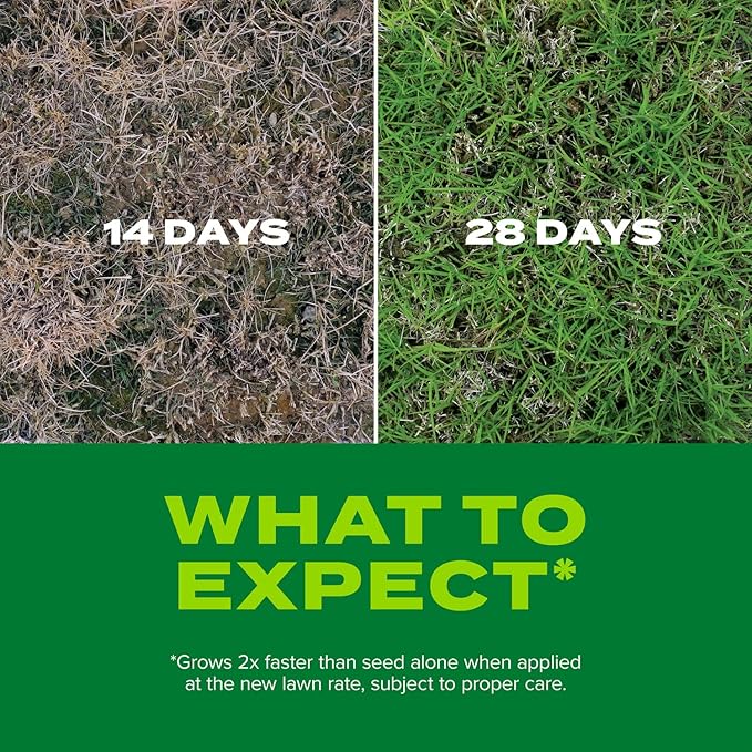 Scotts Turf Builder Rapid Grass Bermudagrass Combination Grass Seed and Fertilizer Grows Full Green Grass 4 lbs