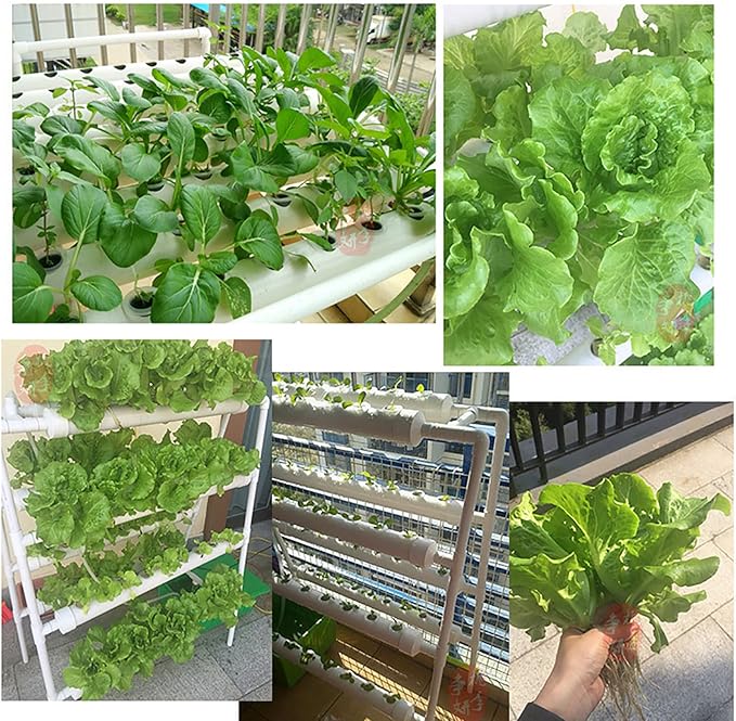 54 Holes Hydroponic Piping Grow Kit Planting Tools Gardening System Nursery Pot Hydroponic Soilless Plant Growing Systems Vegetable Planting Grow Kit Rack 100-240V