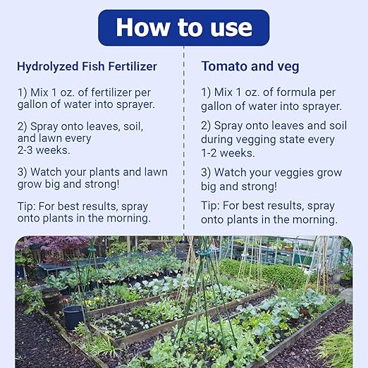 Neptune's Harvest Organic Plant Fertilizer | Liquid Fertilizer for Lawn Garden &amp Houseplant | Rich in Essential Nutrients | Hydrolyzed Fish 2-4-1 (Quart) + Tomato &amp Veg Plant Food 2-4-2 (Quar