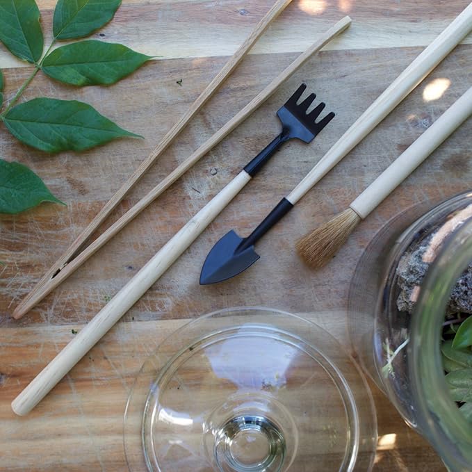 Syndicate Sales Terrarium Tool Kit 4 Piece