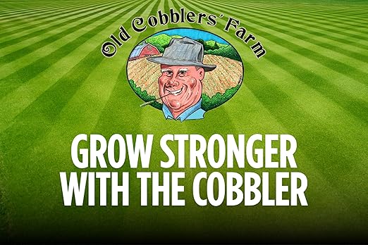 Old Cobblers Farm™ Wicked Organics 2-3-3 Fertilizer – Slow-Release Plant Fertilizer for Vegetables Lawns Flowers &amp Trees. Supports Strong Roots &amp Growth. (5 lbs | 10 lbs | 15 lbs | 20 lbs) (