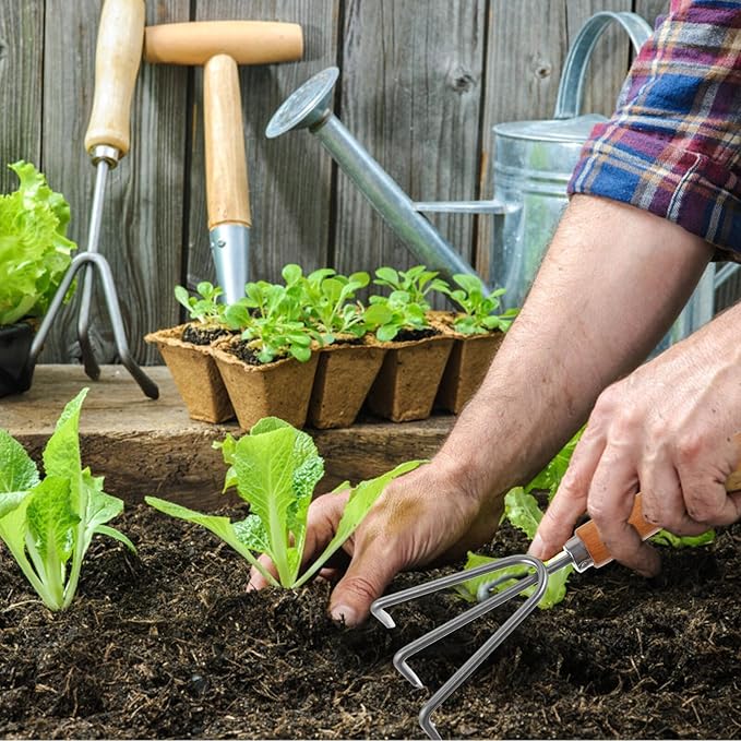 HEMOTON Garden Hand Tools Set 4pcs with Wood Handles – Small Shovel Wide Trowel 3-Tooth Rake and Cultivator for Vegetable Planting and Outdoor Gardening Tasks