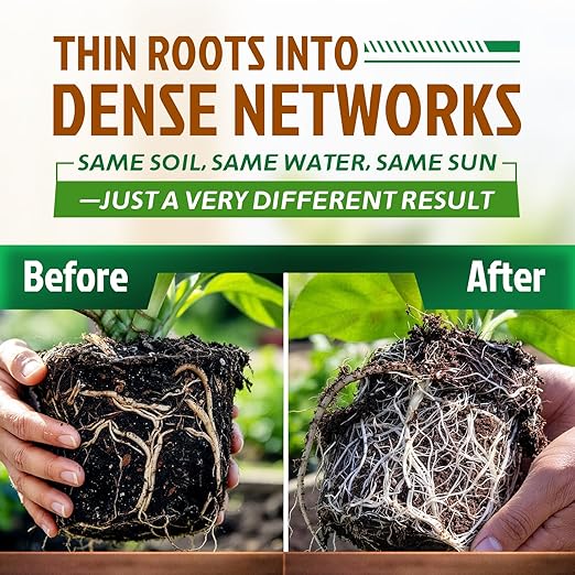 Dr. Raifya's Mycorrhizal Fungi Inoculant 10X Concentrated Up to 700 Plants–Organic Root Stimulator to Strengthen Roots Enhance Growth &amp Increase Yield Safe for Vegetables Flowers &amp Fruits