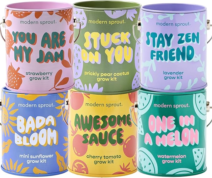 Modern Sprout Complimentary Color Grow Kits (Pack of 6) - Seed Starter Kit - Includes Strawberry Sunflower Cactus Tomato Melon &amp Lavender Seeds - Gardening Gifts that Grows with Love