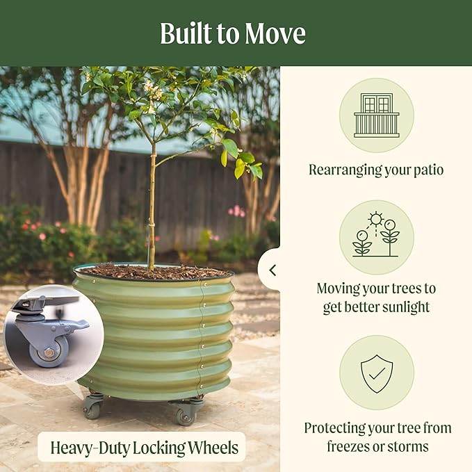 Rolling Metal Citrus Tree Planter Self-Watering Round Large Pot for Growing Trees Tomatoes Vegetables and Flowers Raised Garden Bed with Wheels for Porch Patio &amp Backyard Single Pack-Modern Gra