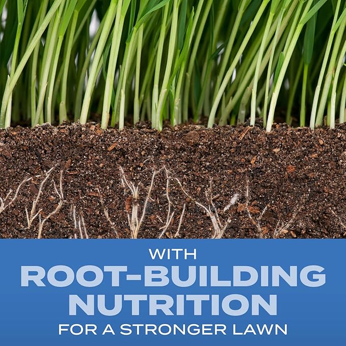 Scotts Turf Builder Grass Seed Sun &amp Shade Mix with Fertilizer and Soil Improver Thrives in Many Conditions 5.6 lbs.
