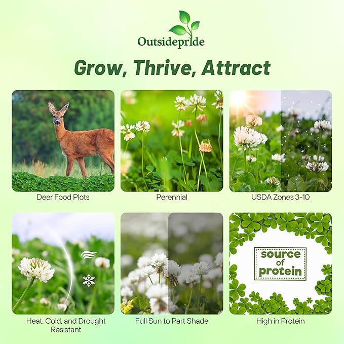 Outsidepride Perennial Clover King Seed Mix - 5 lbs Nitrocoated Inoculated Heat &amp Cold Tolerant Alfalfa-Enhanced Food Plot Seeds for Deer &amp Wildlife Ideal for Spring Summer &amp Winter