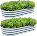GrowHaus 2 Pack 4x2x1FT Galvanized Raised Garden Bed Planter Boxes Outdoor Metal Garden Beds for Planting Vegetables Flowers Herbs Silver