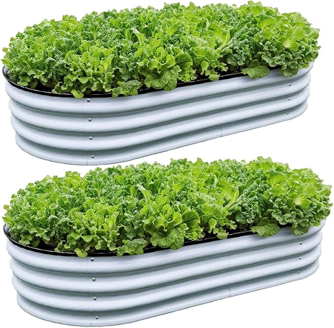 GrowHaus 2 Pack 4x2x1FT Galvanized Raised Garden Bed Planter Boxes Outdoor Metal Garden Beds for Planting Vegetables Flowers Herbs Silver