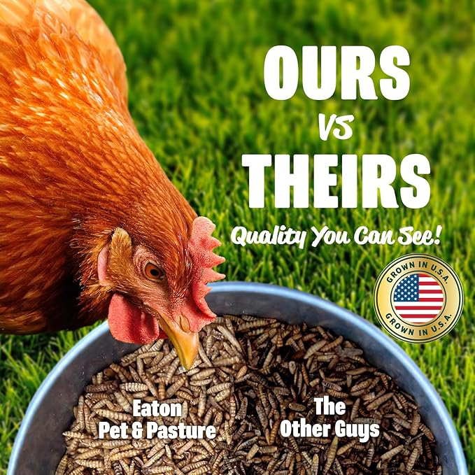 Eaton Pet and Pasture Premium Grubs USA Grown Dried Black Soldier Fly Larvae High Calcium Treat for Chickens Ducks Wild Birds (1 LB) (Pack of 2)