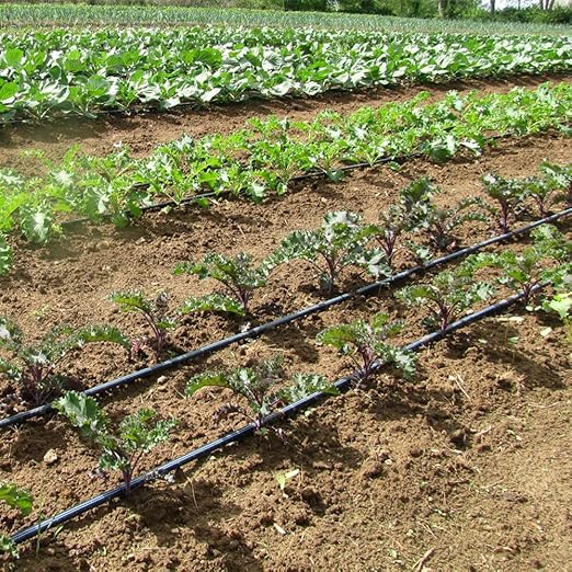 Drip Tape for Garden Irrigation-5/8 8 mil Thick 4 inch spacing of emitters 1.34 GPM/100' (300 Feet)