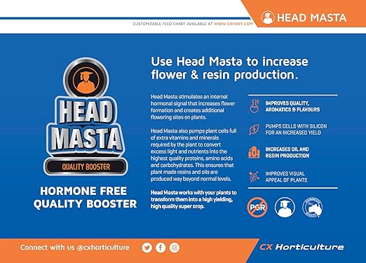 Head Masta 5 Liters