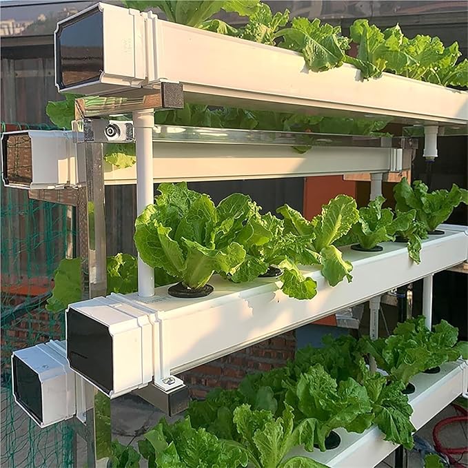 Hydroponics Growing Systems Kit Hydroponics Indoor Gardenfor Herbs Fruits and Vegetables.