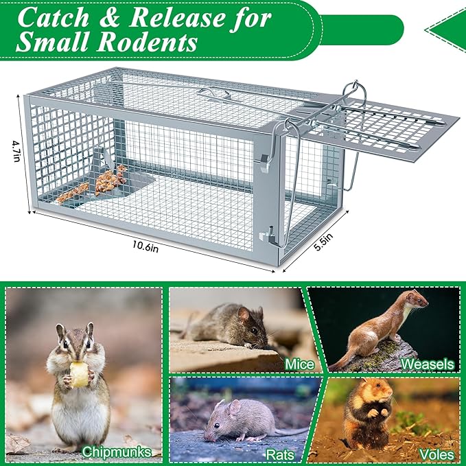 2 Packs Humane Rat Trap Outdoor Wanqueen Humane Mouse Traps Indoor for Home Small Rodent Chipmunk Trap and Other Live Animal Cage Catch and Release