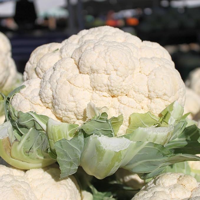 Snowball A Cauliflower 4 Oz ~27000 Seeds – 55 Days – Brassica oleracea – Non-GMO Heirloom Vegetable Seeds – Open-Pollinated Annual – Produces 5–7 Solid Ivory-White Heads