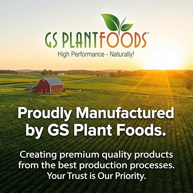 Amino Power Powder Nitrogen Fertilizer - Plant Based High Nitrogen Fertilizer for Plants - All Natural Nitrogen Source and chelating Agent - Suitable for Turf Vegetables Fruits &amp Berries