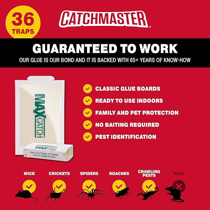 Catchmaster Max-Catch Mouse &amp Insect Glue Trap 36pk Mouse Traps Indoor for Home Sticky Pest Control Adhesive Tray for Catching Bugs Bulk Classic Glue Boards
