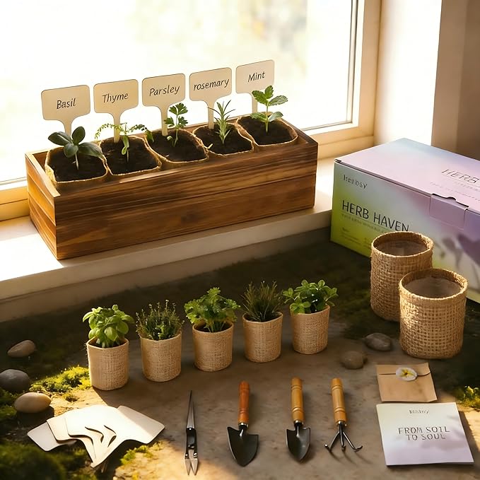 5 Herb Garden Kit with Wooden Box - Including Basil Thyme Parsley Rosemary Mint - Windowsill Herb Garden for Kitchen Gardening Gifts for Mom Women Men Gift Ideas for Birthday Housewarming