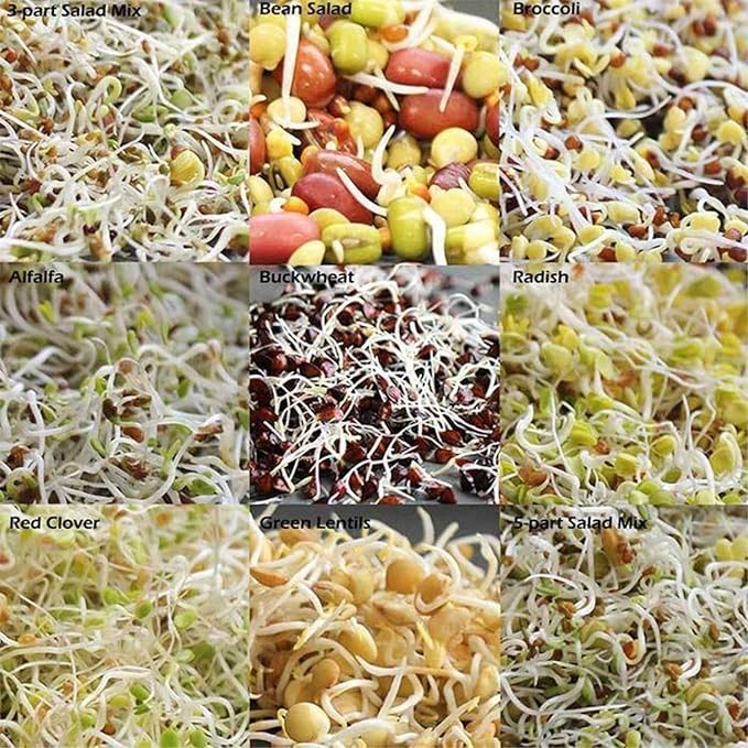 Organic Sprouting Seed Mix – 2.5 lb – 10 Varieties: Alfalfa Mung Bean Broccoli Lentil Clover Buckwheat Radish Bean Salad More