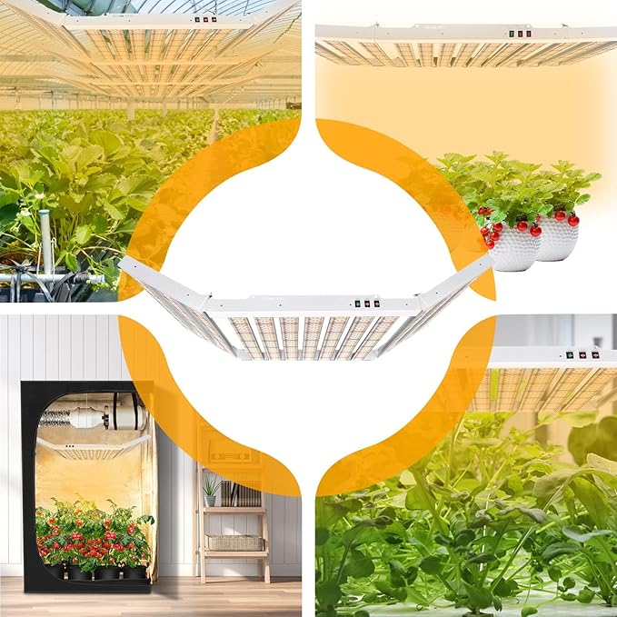 2024 New SPF6000 600W LED Grow Light 6x6ft Coverage with New Diodes &amp IR Lights Full Spectrum Veg Bloom Growing Lamps for Indoor Plants Seeding Flower Led Plant Light Fixture