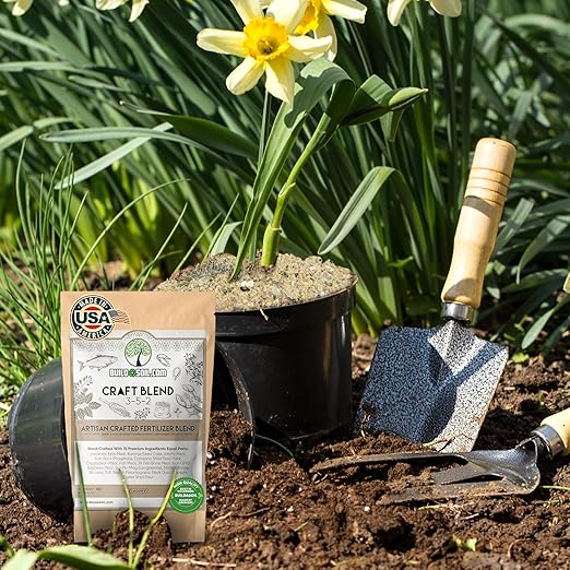 BuildASoil Fertilizer for Vegetable Garden and Ogranic Plant Food | Hand-Crafted Organic Fertilizer with 15 Premium Ingredients | Ensures Larger Plants and More Fragrant Flowers (44 LB - Large Bag)