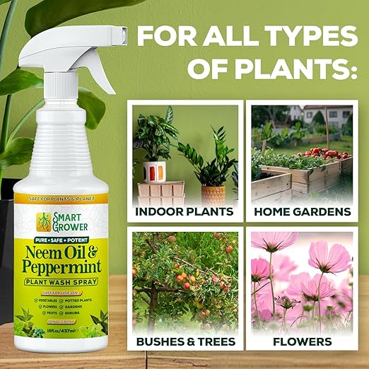 Neem Oil Spray for Plants with Peppermint Oil Natural Plant Wash Made for Indoor and Outdoor Plants Smart Grower 16oz Easy Ready to Use Spray