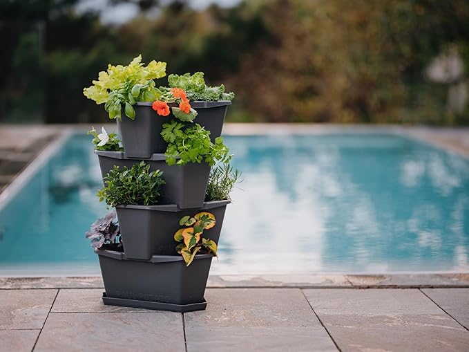 BUZZY Seeds Starter Stackable Vertical Planter – 4-Level Raised Garden Tower for Potatoes Strawberries Vegetables &amp Flowers (Gray)