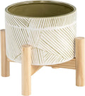 Generic 6 Planter W Wood Stand Green Mix