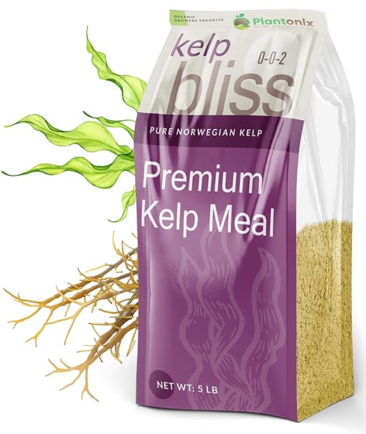 Char Bliss (8 Qts) + Kelp Bliss (5lbs) - Kelp Meal Organic Fertilizer &amp Organic Biochar for Plants - Biochar Soil Amendment - Charcoal for Plants - Organic Kelp Fertilizer for Plants - Kelp for Pl
